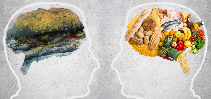 غذای ذهن در کیفیت زندگی ما تاثیر مستقیم دارد